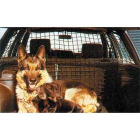 Síť Carpoint na převážení psů / do zavazadlového prostoru