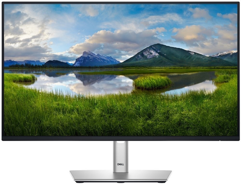 Dell Professional P2425HE