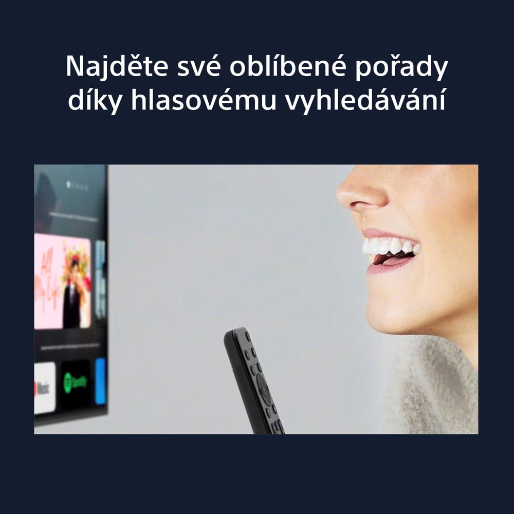 Televize Sony KD-50X80K, Hlasové vyhledávání