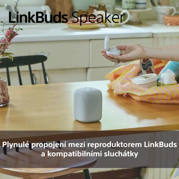 Přenosný reproduktor Sony LinkBuds Speaker, černý