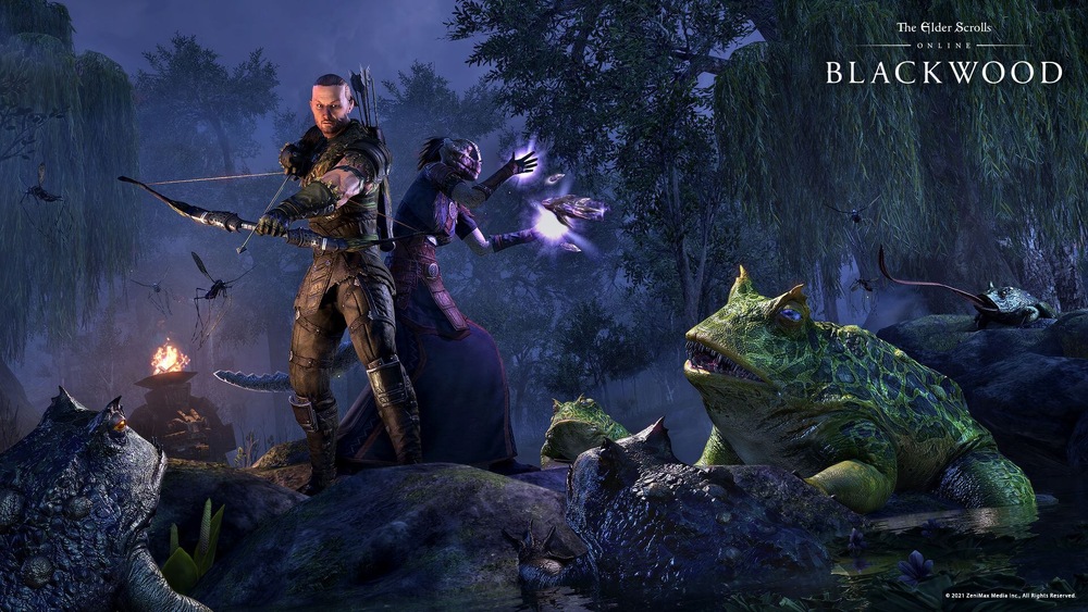 The Elder Scrolls Online Collection: Blackwood Collector's Edition – elektronická licence, Xbox Series / Xbox One