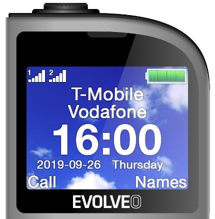 Evolveo EasyPhone FL, stříbrná