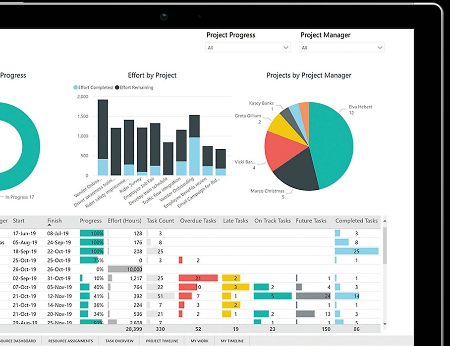 Microsoft Project Professional 2021