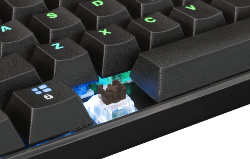 White Shark SHINOBI, US layout, hnědý switch, černá