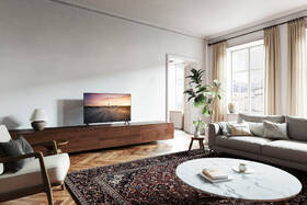 Televize Panasonic TV-50W90AEG 
