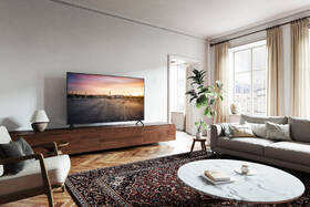 Televize Panasonic TV-65W90AEG 
