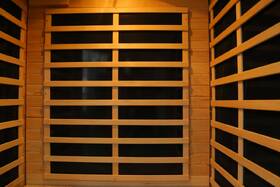 Infrasauna HealthLand Economical 2022 Carbon 
