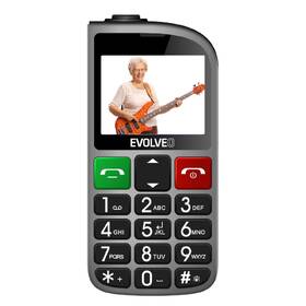 Mobilní telefon Evolveo EasyPhone FL stříbrná barva
