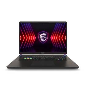 Notebook MSI Vector 17 HX A14VIG-1015CZ šedá barva
