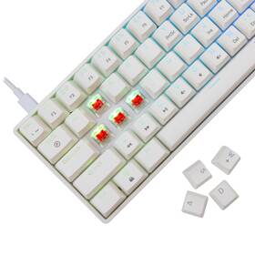 Klávesnice White Shark SHINOBI 2, US layout, Red Switch bílá barva
