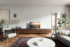 Televize Panasonic TV-43W90AEG 
