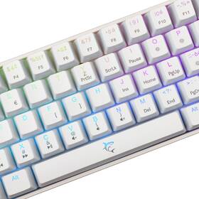 Klávesnice White Shark SHINOBI 2, CZ/SK layout, červený switch bílá barva
