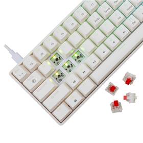 Klávesnice White Shark SHINOBI 2, US layout, Red Switch bílá barva
