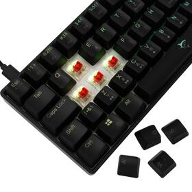 Klávesnice White Shark SHINOBI 2, CZ/SK layout, Red Switch černá barva
