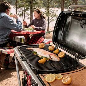 Gril zahradní plynový Weber Traveler černá barva
