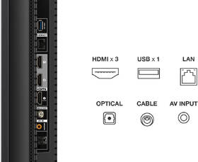 Televize TCL 55C61B PRO 
