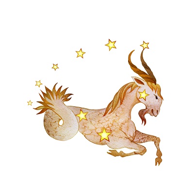 Horoskop 2024 kozoroh