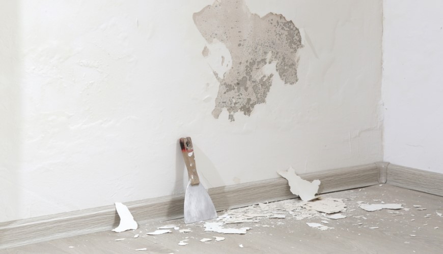 Jak odstranit plíseň ze zdi