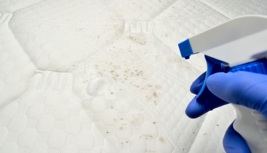 Jak odstranit plíseň z matrace