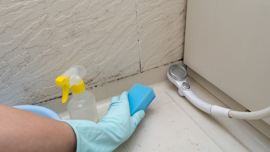 Plíseň ve sprchovém koutě