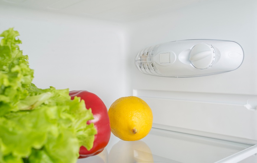 Jak nastavit ideální teplotu v lednici a mrazáku? Mechanické ovládání teploty v lednici. Na polici je položená paprika, salát a citron..