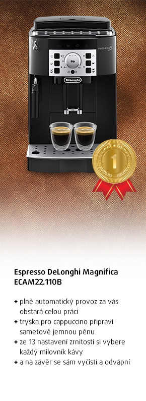 Espresso DeLonghi Magnifica ECAM22.110B