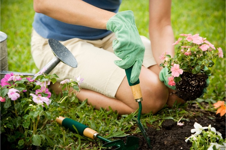 Jarní práce na zahradě: Nejlepší tipy pro zahrádkáře