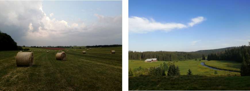 mobilní telefon Honor 20 lite 20